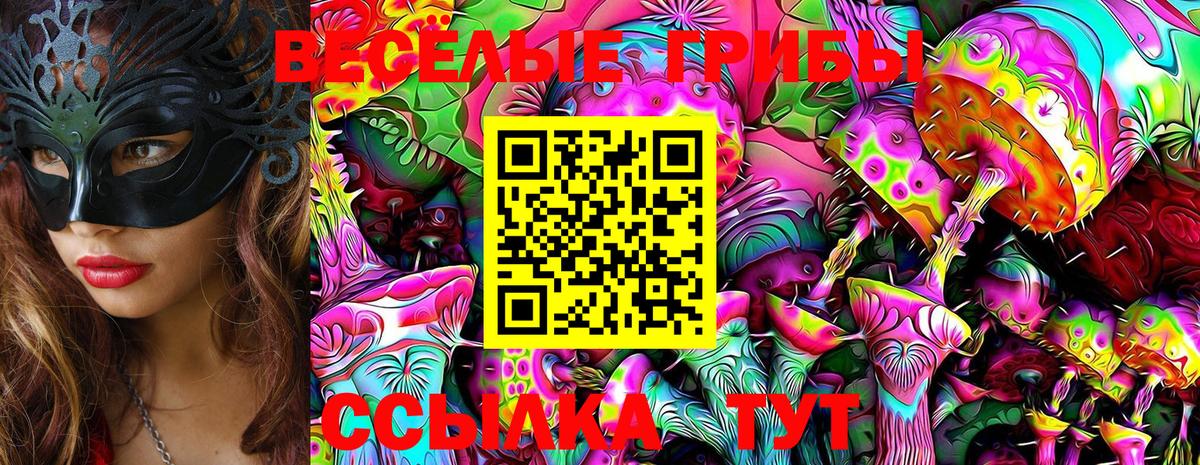 Галлюциногенные грибы мухоморы  Галлюциногенные грибы Magic Shrooms  Вход с VPN  Тула 