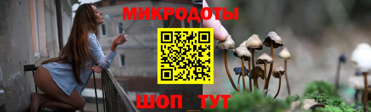 Псилоцибиновые грибы Cubensis Тула